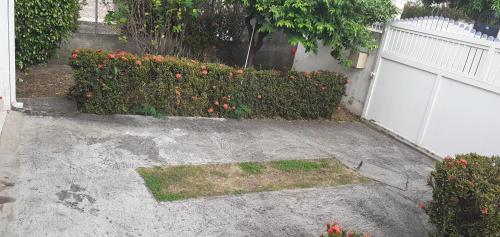 a driveway with a fence and a bush with flowers at Le p'tit nid cocodydy in Baillif