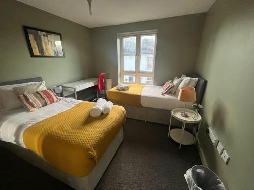 Kent的住宿－BridgeCity 3 bedroom Canning House Maidstone w Parking，酒店客房设有两张床和窗户。
