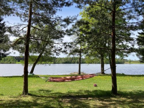 a hammock in the middle of trees next to a lake at Našio kempingas in Antanaše