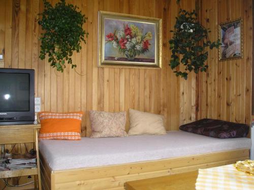 a couch in a room with a tv at Apartment Pavla in Jáchymov