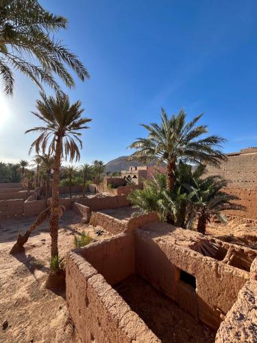 a desert with palm trees and houses in the desert at Dar Toda - Zagora guest house in Zagora