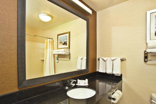 a bathroom with a sink and a mirror at Fairfield Inn & Suites by Marriott Madison West/Middleton in Madison