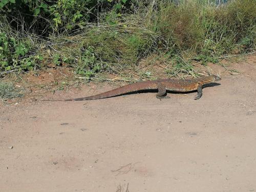 Φωτογραφία από το άλμπουμ του Bushbuck Rest σε Marloth Park