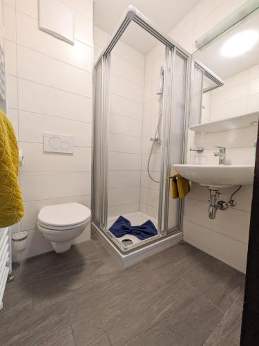 a bathroom with a shower and a toilet and a sink at Hotel Forelle in Plansee