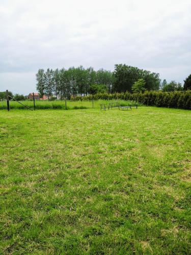 a field of grass with benches in the distance at Ten Velde - vakantiewoning 12 personen - sauna - bubbelbad in Hoeselt