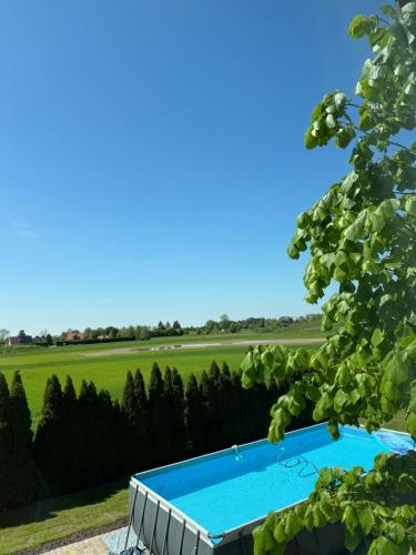 a swimming pool in a garden with a field and trees at Ranczo Ryki in Nowy Dwór Gdański