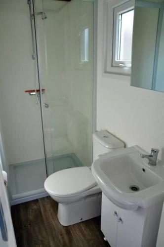 a white bathroom with a toilet and a sink at De pallegarste chalet 119 in Mariënberg