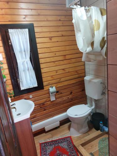a bathroom with a toilet and a sink and a mirror at Dor de Munte Transfăgarasan in Cîrţişoara