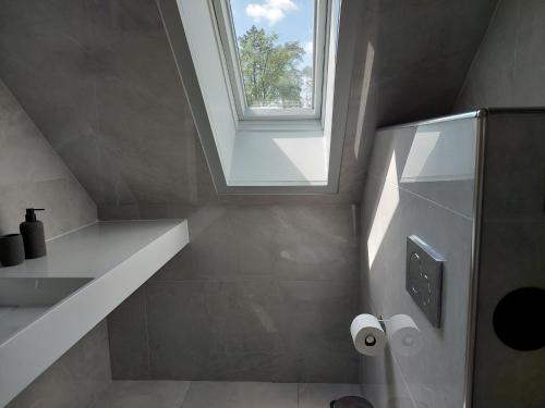 een badkamer met een wastafel, een raam en een douche bij Cozy Home in Heide, Schneverdingen in Schneverdingen