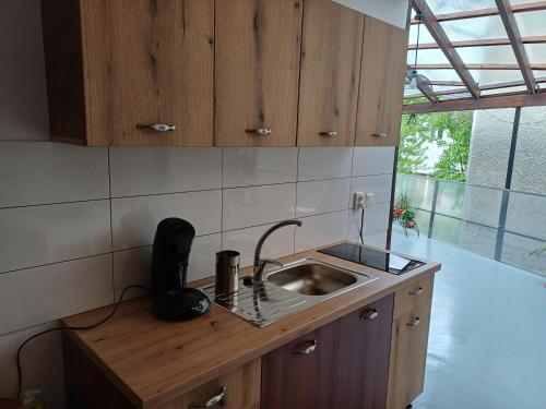 a kitchen with a sink and a counter with a sink at Runk House in Câmpulung Moldovenesc