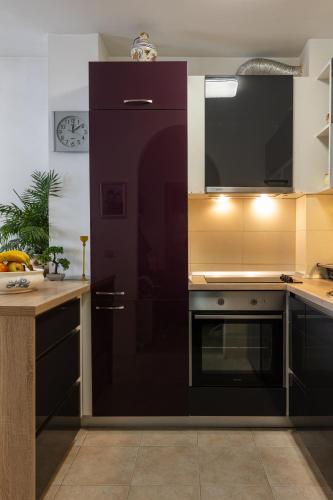 Renovated City Center Apart Roberto