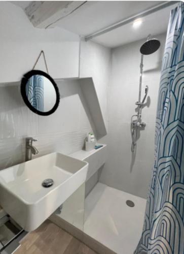 un bagno bianco con lavandino e doccia di Duplex a 2 pas de la vielle ville d Avignon ad Avignone