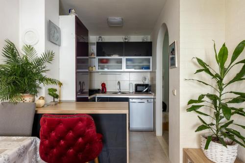 Renovated City Center Apart Roberto