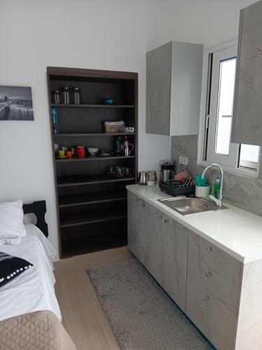 Athens LUXURY STUDIO 1