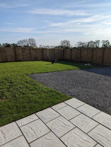 a dog walking in a yard next to a fence at My Happy Hounds Glamping in Northallerton