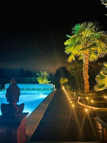 - une piscine avec des palmiers et des lumières la nuit dans l'établissement Villa near Geneva, à Chens-sur-Léman