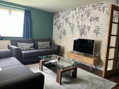 uma sala de estar com um sofá e uma televisão de ecrã plano em Comfortable Two Bedroom Modern Apartment em Londres