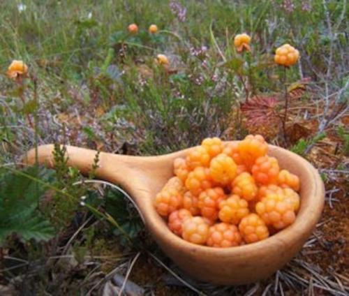 a wooden spoon with a bunch of fruit in it at Idre himmelfjäll ski in/ski out Bastu/Sauna Skidor Natur Vandring Fiske in Idre