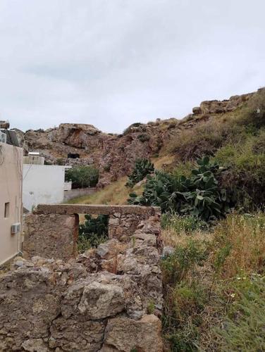 Φυσικό τοπίο κοντά σε αυτό το διαμέρισμα