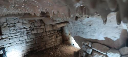 Το Meublé de tourisme Petit Chail Saint Savinien τον χειμώνα