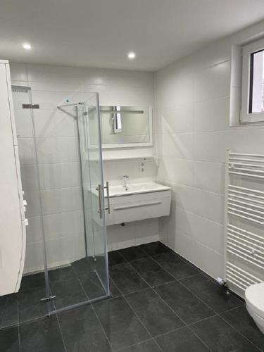 a bathroom with a glass shower and a sink at vollmöbliert und komplett ausgestattet 3-Raum Appartment in Wittingen in Wittingen