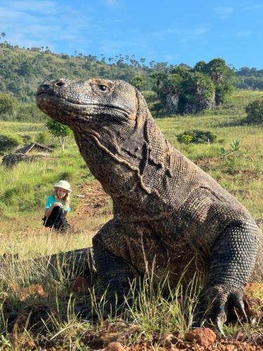 a woman sitting next to a largeigator in a field at Jhuna Komodo Homestay in Komodo