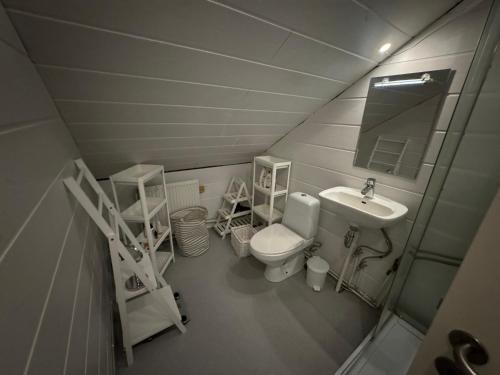 a small bathroom with a toilet and a sink at Bjarmaland in Vestmannaeyjar