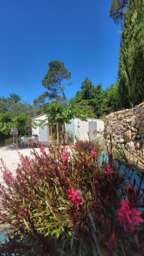 un jardin avec des fleurs roses en face d'une maison dans l'établissement Maison Clair de Lune, à Cabasse