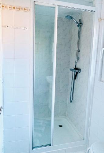 a shower with a glass door in a bathroom at Ferienhaus Balu mit eigenem Steig direkt am Wasser IJsselmeer in Wervershoof