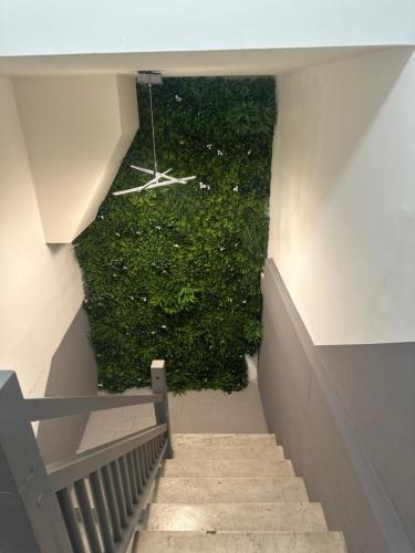 a stairway with a green hedge in a building at Californie in Nice