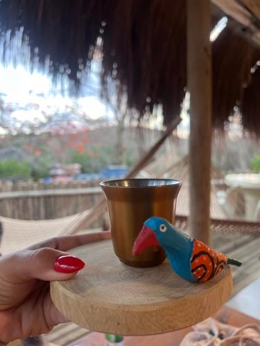a person holding a cup and a bird on a table at Pousada Alto Mar in Fernando de Noronha