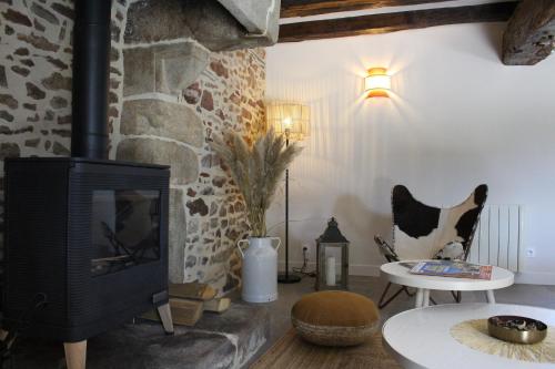 a living room with a fireplace and a stone wall at La Chaumière - Nature et SPA privé in Béganne