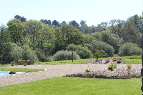 a garden with a pond and flowers and trees at La Chaumière - Nature et SPA privé in Béganne