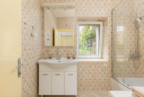 a bathroom with a sink and a mirror and a shower at villa branka in Strp