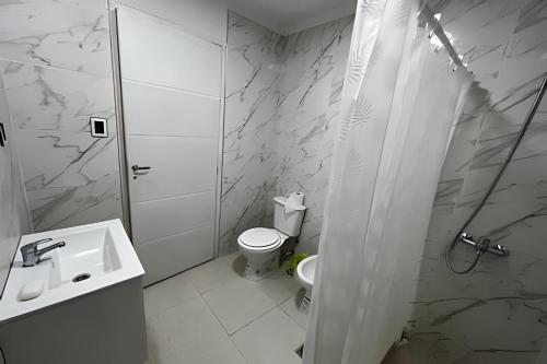 a bathroom with a shower and a toilet and a sink at Dúplex Dorrego in Barraquero