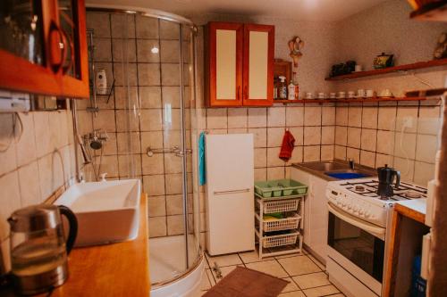 eine kleine Küche mit Spüle und Kühlschrank in der Unterkunft Domek nad Jeziorem Parzeńskim in Parzeńsko