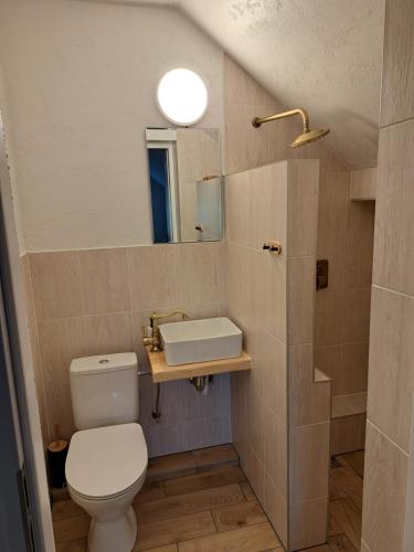 łazienka z toaletą i umywalką w obiekcie pokój 1 z antrasolą w mieście Przysiecz