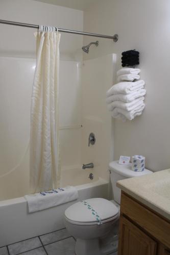 Ванная комната в American Host Inn