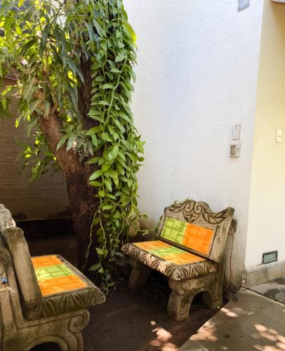 a chair and a bench next to a tree at Hotel il Padrino in Granada