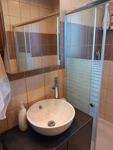 uma casa de banho com um lavatório e um chuveiro em Villa Anna em Amaliapoli