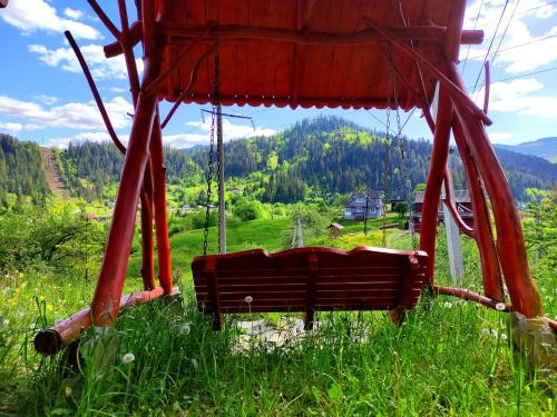 a swing in a field of grass with a mountain at Шале Гірська Казка in Yaremche