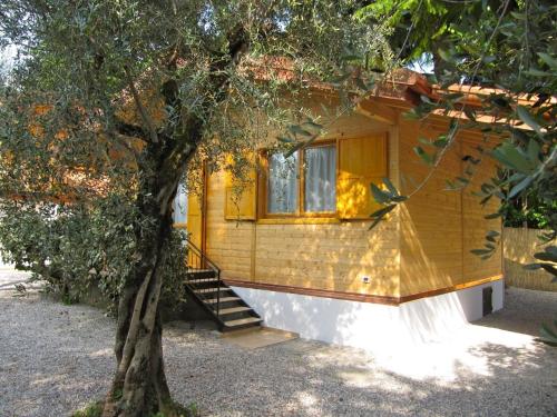 una piccola casa gialla con un albero di fronte di Cottage Heliopolis 89 a Manerba del Garda