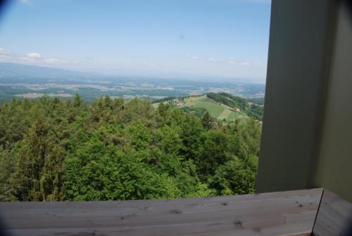 a room with a view of a forest of trees at Weinberg-Panoramaferienhaus in Kitzeck im Sausal