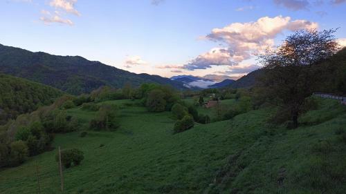 una vista aérea de un campo verde con montañas en Allotjaments rurals Can Punti, en Vallfogona de Ripollès