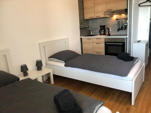 Kuchyň nebo kuchyňský kout v ubytování Zentrales Studio-Apartment in Linz, Arbeiter-hit