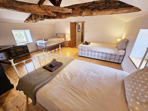 a bedroom with two beds in a room at La spacieuse maison des miots in Hiersac