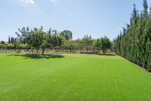 a large green field with trees and a fence at Ses Veles in Lloseta