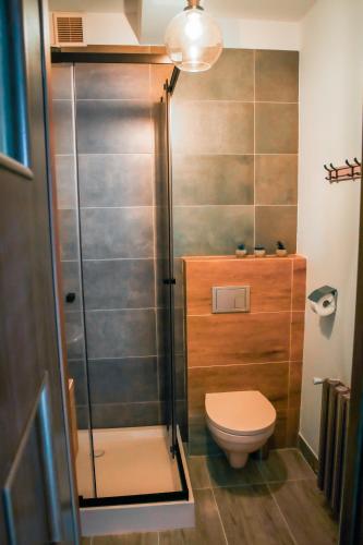 a bathroom with a toilet and a glass shower at Srokówka Resort in Dąbrówka