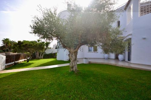 Κήπος έξω από το Villa Esmeralda