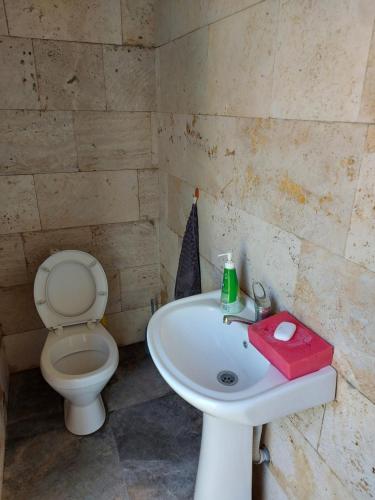 Un baño de Nika Hangstigoti